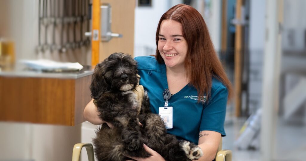 A female student with long straight hair wears a vet tech uniform and holds a black, curly-haired puppy in her lap